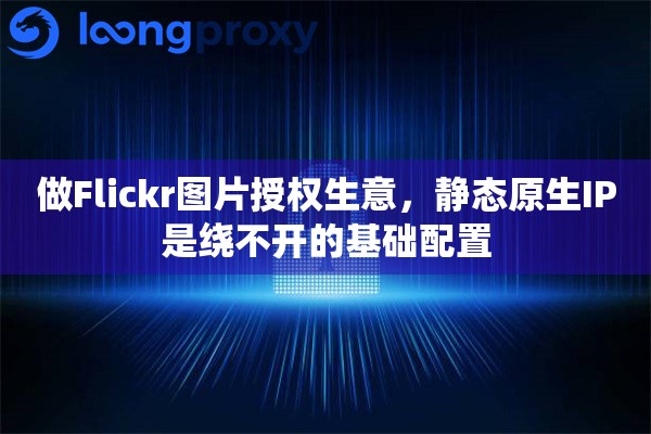做Flickr图片授权生意，静态原生IP是绕不开的基础配置