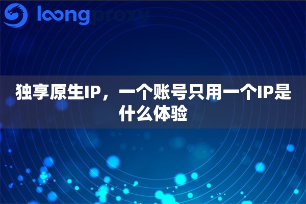 独享原生IP，一个账号只用一个IP是什么体验