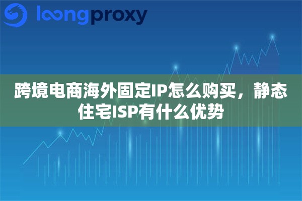跨境电商海外固定IP怎么购买，静态住宅ISP有什么优势