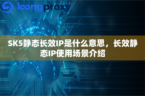 SK5静态长效IP是什么意思，长效静态IP使用场景介绍