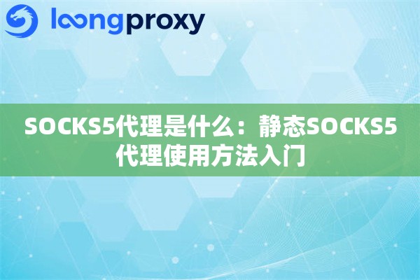 SOCKS5代理是什么：静态SOCKS5代理使用方法入门