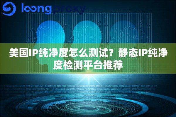 美国IP纯净度怎么测试？静态IP纯净度检测平台推荐