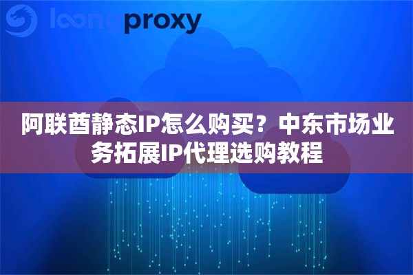阿联酋静态IP怎么购买？中东市场业务拓展IP代理选购教程