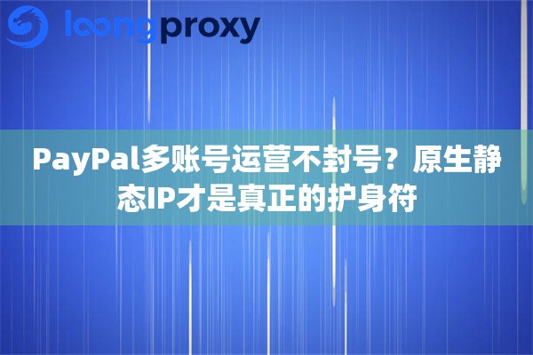 PayPal多账号运营不封号？原生静态IP才是真正的护身符