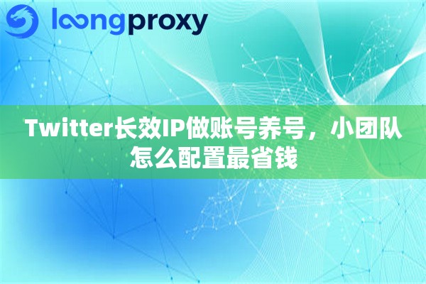 Twitter长效IP做账号养号，小团队怎么配置最省钱