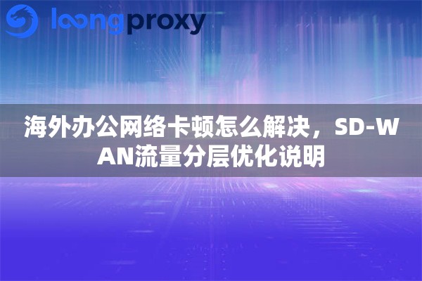 海外办公网络卡顿怎么解决，SD-WAN流量分层优化说明