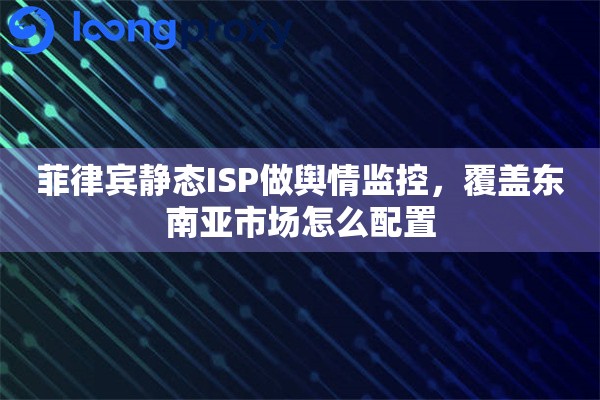 菲律宾静态ISP做舆情监控，覆盖东南亚市场怎么配置