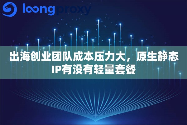 出海创业团队成本压力大，原生静态IP有没有轻量套餐