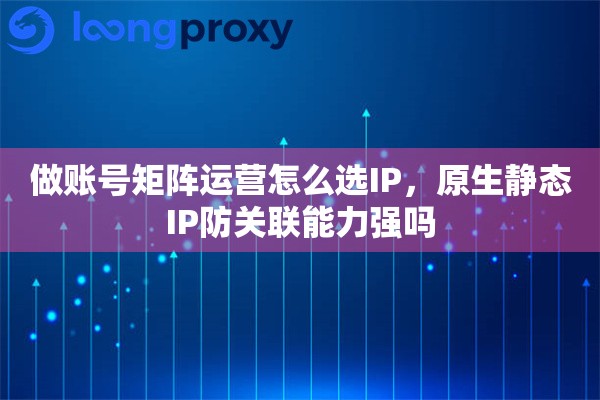 做账号矩阵运营怎么选IP，原生静态IP防关联能力强吗