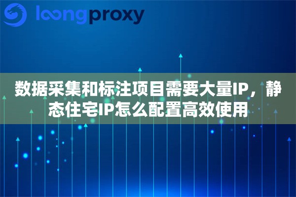数据采集和标注项目需要大量IP，静态住宅IP怎么配置高效使用