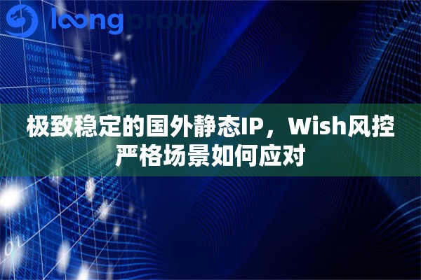 极致稳定的国外静态IP，Wish风控严格场景如何应对