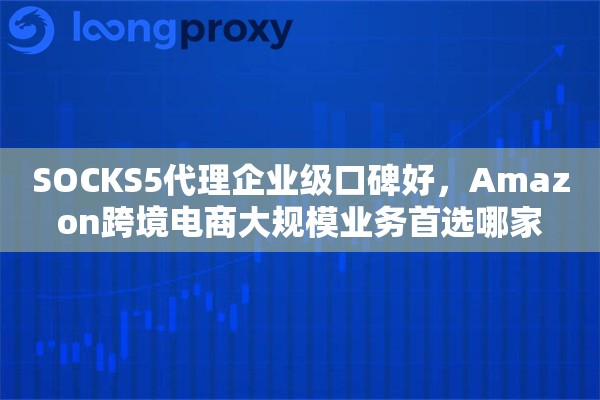 SOCKS5代理企业级口碑好，Amazon跨境电商大规模业务首选哪家