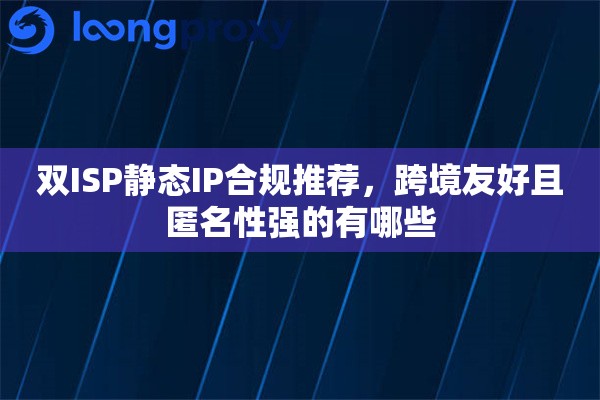 双ISP静态IP合规推荐，跨境友好且匿名性强的有哪些