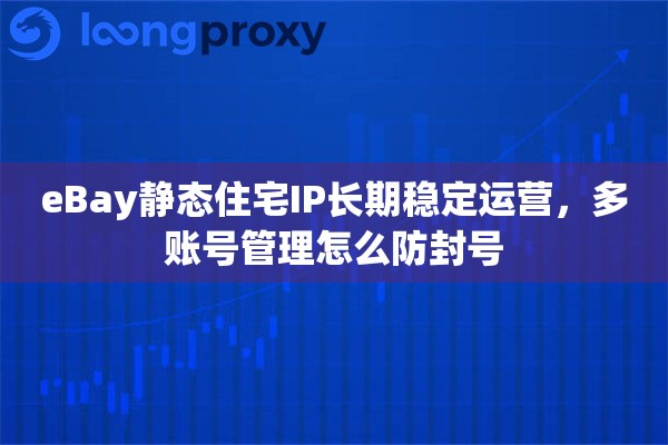 eBay静态住宅IP长期稳定运营，多账号管理怎么防封号
