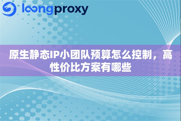 原生静态IP小团队预算怎么控制，高性价比方案有哪些