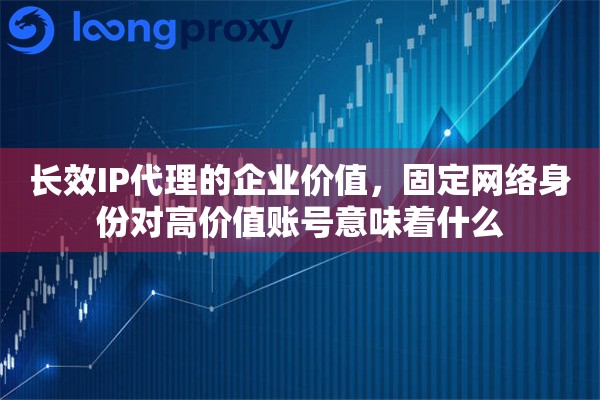 长效IP代理的企业价值，固定网络身份对高价值账号意味着什么