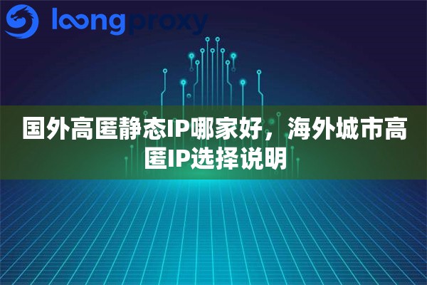 国外高匿静态IP哪家好，海外城市高匿IP选择说明
