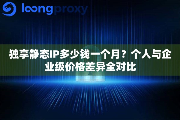 独享静态IP多少钱一个月？个人与企业级价格差异全对比