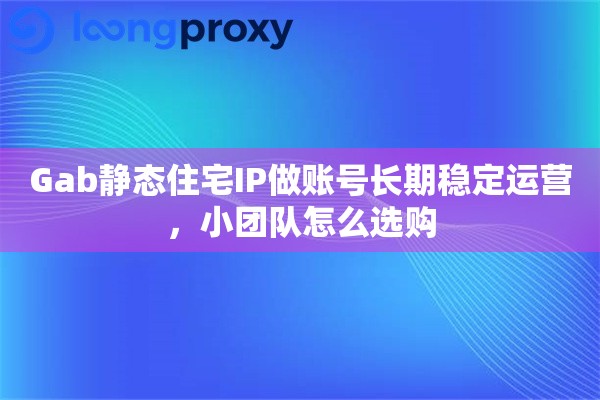 Gab静态住宅IP做账号长期稳定运营，小团队怎么选购