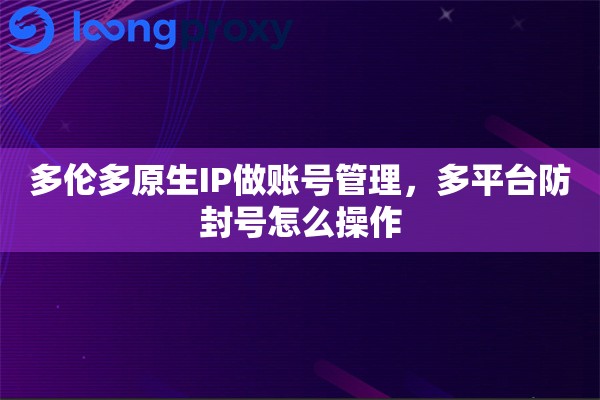 多伦多原生IP做账号管理，多平台防封号怎么操作