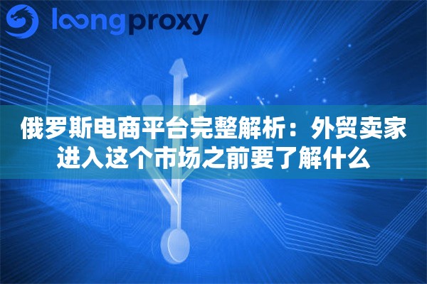 俄罗斯电商平台完整解析：外贸卖家进入这个市场之前要了解什么