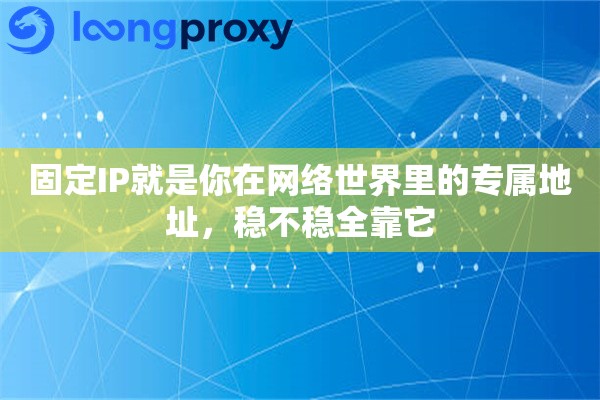 固定IP就是你在网络世界里的专属地址，稳不稳全靠它