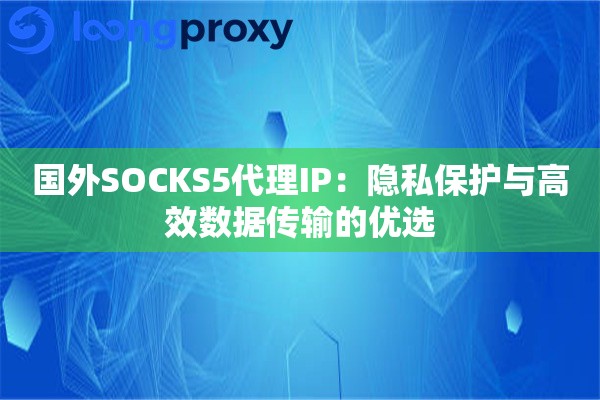 国外SOCKS5代理IP：隐私保护与高效数据传输的优选