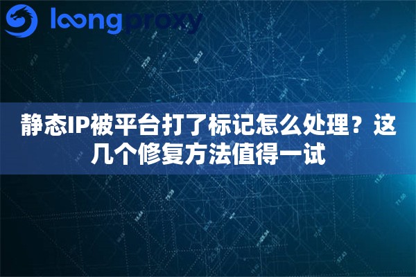 详细阅读:静态IP被平台打了标记怎么处理?这几个修复方法值得一试 静态IP被平台打了标记怎么处理?这几个修复方法值得一试