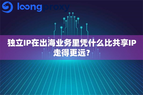 详细阅读:独立IP在出海业务里凭什么比共享IP走得更远? 独立IP在出海业务里凭什么比共享IP走得更远?