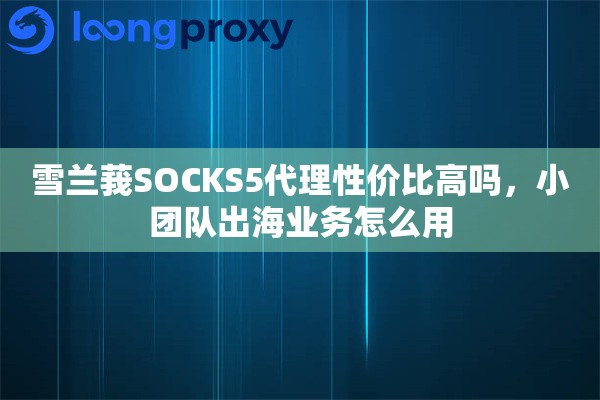 雪兰莪SOCKS5代理性价比高吗，小团队出海业务怎么用