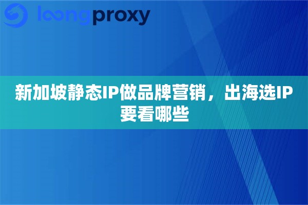 新加坡静态IP做品牌营销，出海选IP要看哪些