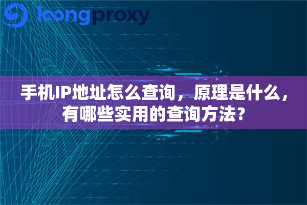 手机IP地址怎么查询，原理是什么，有哪些实用的查询方法？