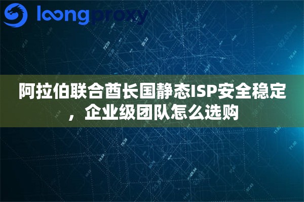 阿拉伯联合酋长国静态ISP安全稳定,企业级团队怎么选购 阿拉伯联合酋长国静态ISP安全稳定,企业级团队怎么选购