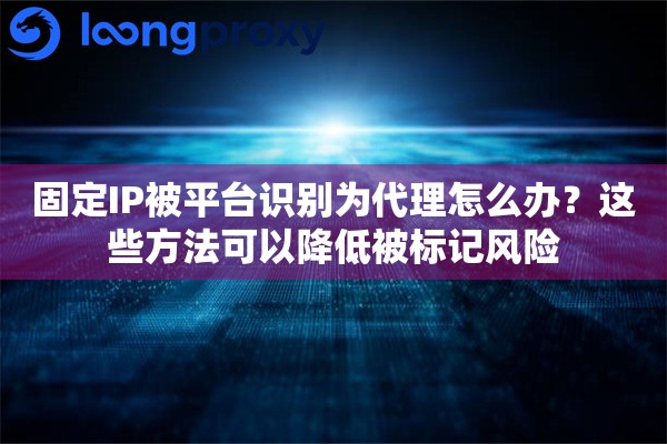 固定IP被平台识别为代理怎么办?这些方法可以降低被标记风险 固定IP被平台识别为代理怎么办?这些方法可以降低被标记风险