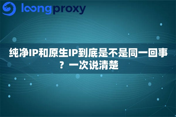 纯净IP和原生IP到底是不是同一回事?一次说清楚 纯净IP和原生IP到底是不是同一回事?一次说清楚