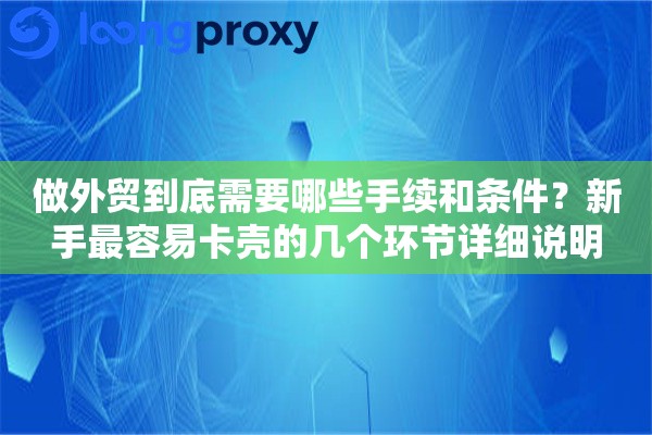 做外贸到底需要哪些手续和条件?新手最容易卡壳的几个环节详细说明 做外贸到底需要哪些手续和条件?新手最容易卡壳的几个环节详细说明