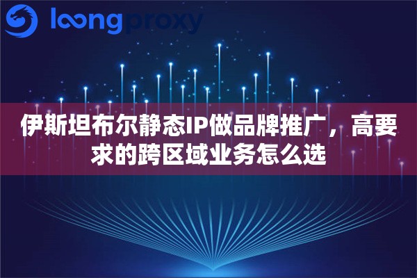 伊斯坦布尔静态IP做品牌推广，高要求的跨区域业务怎么选