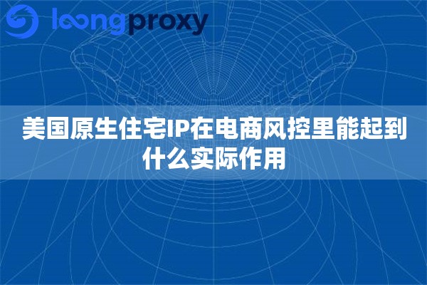 美国原生住宅IP在电商风控里能起到什么实际作用