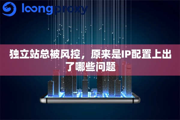 独立站总被风控，原来是IP配置上出了哪些问题