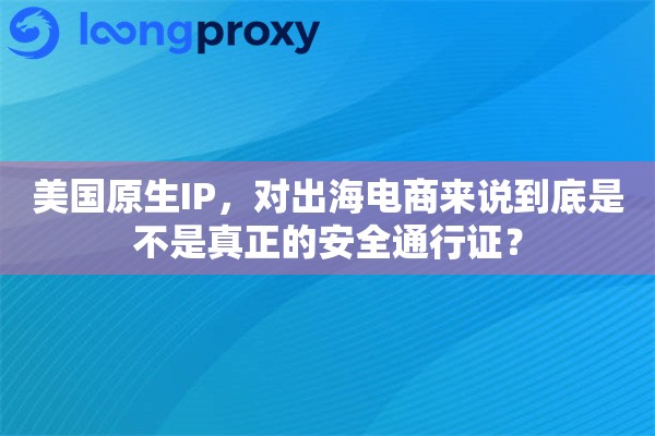 美国原生IP,对出海电商来说到底是不是真正的安全通行证? 美国原生IP,对出海电商来说到底是不是真正的安全通行证?