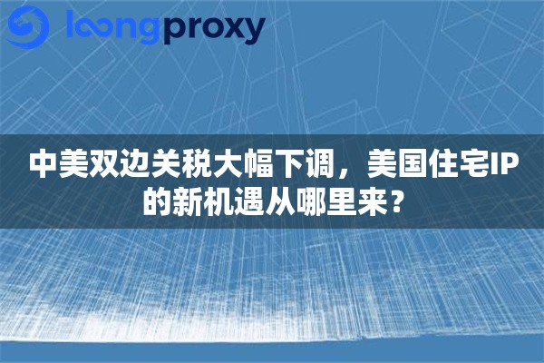中美双边关税大幅下调,美国住宅IP的新机遇从哪里来? 中美双边关税大幅下调,美国住宅IP的新机遇从哪里来?