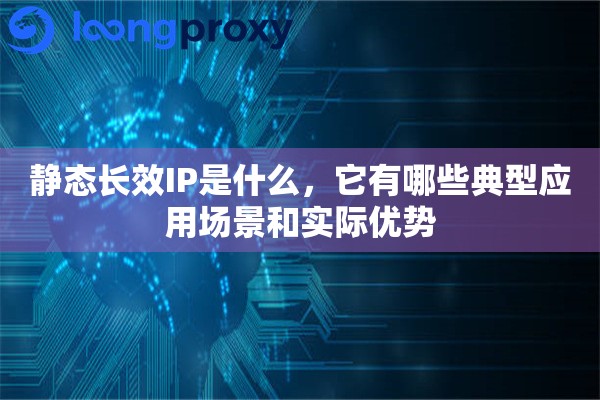 静态长效IP是什么，它有哪些典型应用场景和实际优势