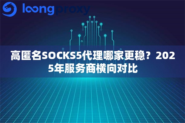 高匿名SOCKS5代理哪家更稳?2025年服务商横向对比 高匿名SOCKS5代理哪家更稳?2025年服务商横向对比