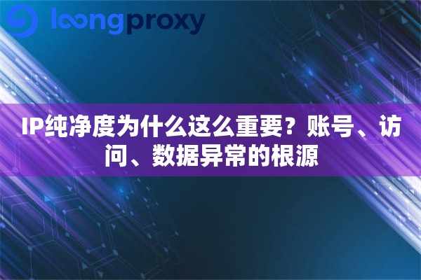 IP纯净度为什么这么重要?账号、访问、数据异常的根源 IP纯净度为什么这么重要?账号、访问、数据异常的根源