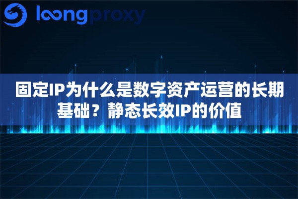 固定IP为什么是数字资产运营的长期基础？静态长效IP的价值