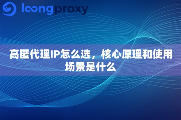 高匿代理IP怎么选，核心原理和使用场景是什么