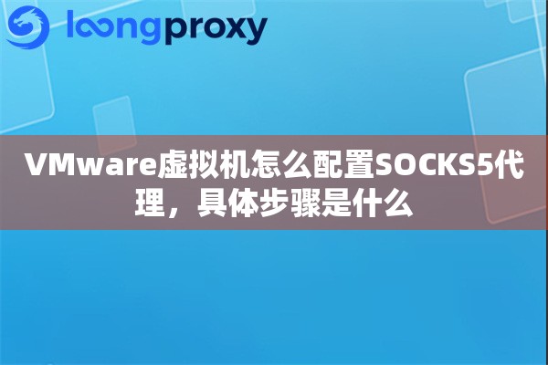 VMware虚拟机怎么配置SOCKS5代理,具体步骤是什么 VMware虚拟机怎么配置SOCKS5代理,具体步骤是什么
