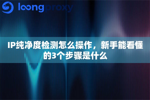 IP纯净度检测怎么操作，新手能看懂的3个步骤是什么