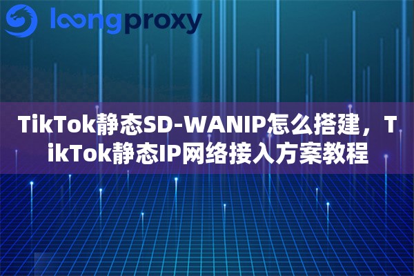 TikTok静态SD-WANIP怎么搭建,TikTok静态IP网络接入方案教程 TikTok静态SD-WANIP怎么搭建,TikTok静态IP网络接入方案教程