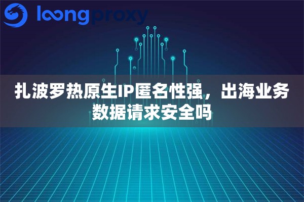 扎波罗热原生IP匿名性强,出海业务数据请求安全吗 扎波罗热原生IP匿名性强,出海业务数据请求安全吗